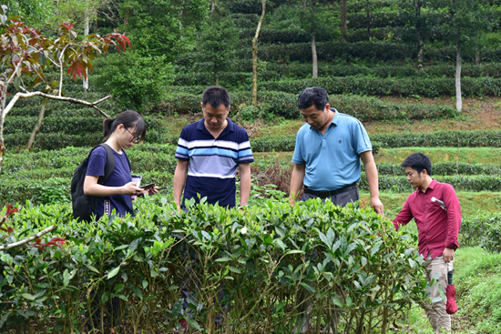 1592205091377747.jpg DSC_7322.jpg