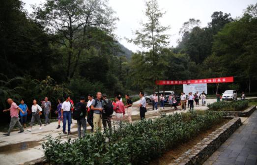 1506734628637555.jpg 1.jpg