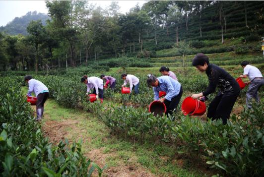 1506734718769142.jpg 2.jpg