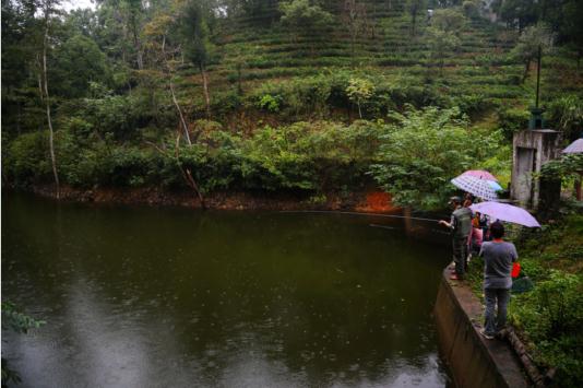 1506734832347796.jpg 4.jpg