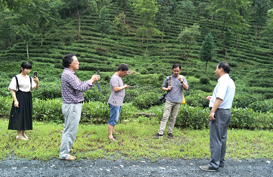 1499733879450438.png 1.png