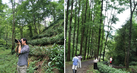 1499735371506602.png 3.png