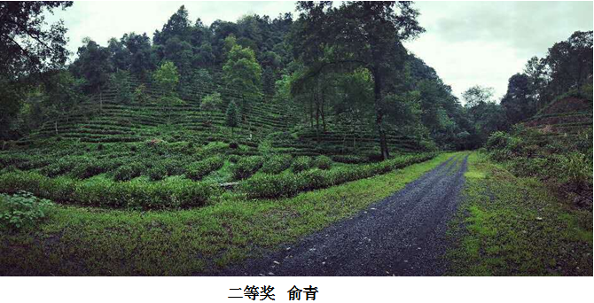 1499739240407408.png 7.png