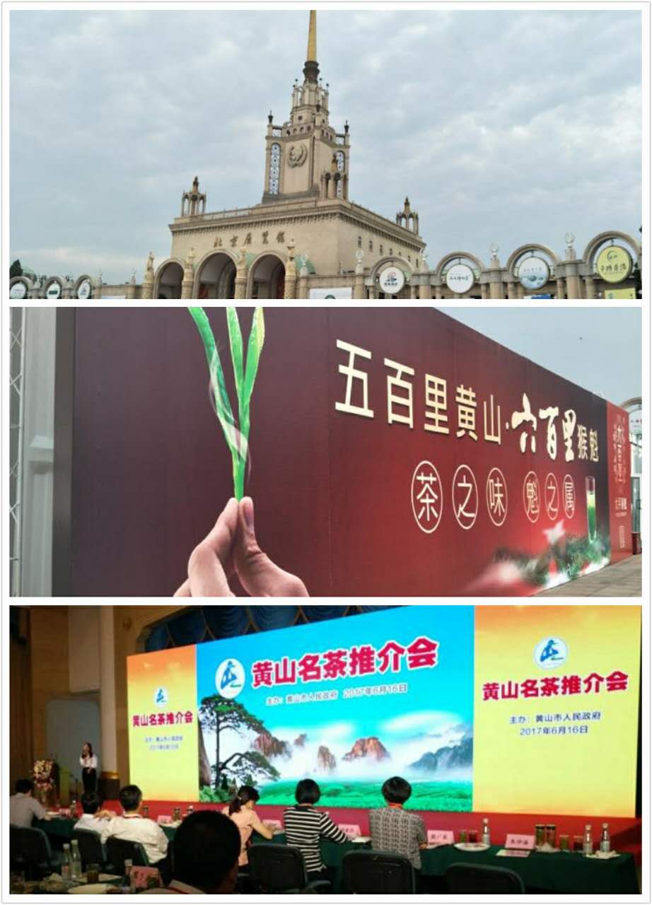 1498118188317137.jpg 15.jpg