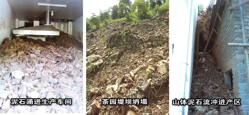 區(qū)委書(shū)記視察六百里茶葉基地了解洪災(zāi)情況.jpg 區(qū)委書(shū)記視察六百里茶葉基地了解洪災(zāi)情況.jpg