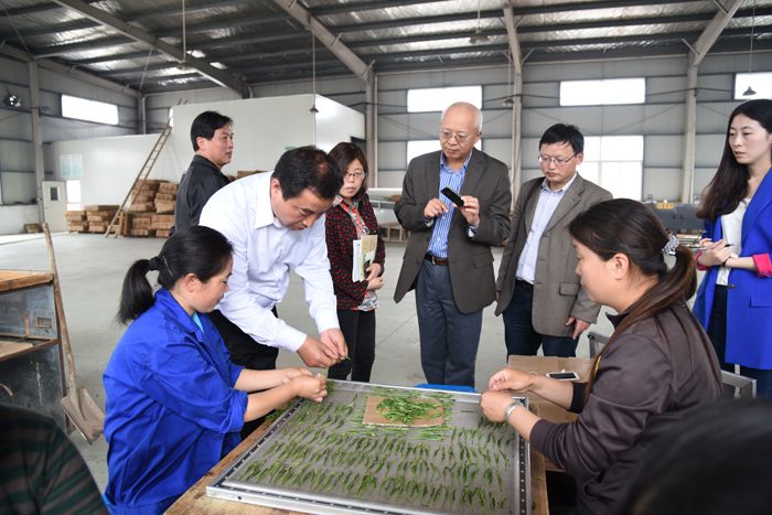 美國馬歇爾大學謝子建考察六百里茶業(yè).jpg 美國馬歇爾大學謝子建考察六百里茶業(yè).jpg