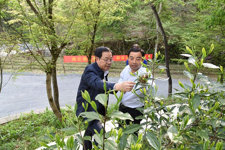 傳統(tǒng)農(nóng)業(yè)走向世界的必經(jīng)之路.jpg 傳統(tǒng)農(nóng)業(yè)走向世界的必經(jīng)之路.jpg