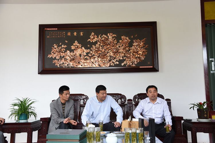 國藥集團安徽公司總經(jīng)理張平一行考察六百里茶業(yè).jpg 國藥集團安徽公司總經(jīng)理張平一行考察六百里茶業(yè).jpg