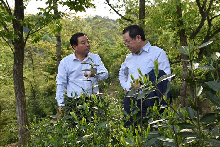 傳統(tǒng)農(nóng)業(yè)走向世界的必經(jīng)之路.jpg 傳統(tǒng)農(nóng)業(yè)走向世界的必經(jīng)之路.jpg