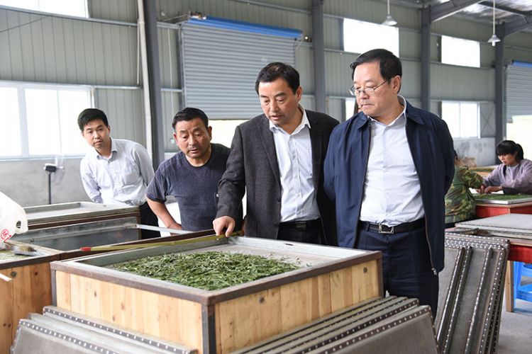 傳統(tǒng)農(nóng)業(yè)走向世界的必經(jīng)之路.jpg 傳統(tǒng)農(nóng)業(yè)走向世界的必經(jīng)之路.jpg