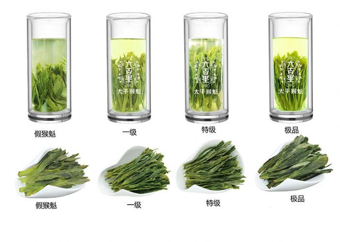 太平猴魁是最大、最好、最珍貴的茶.jpg