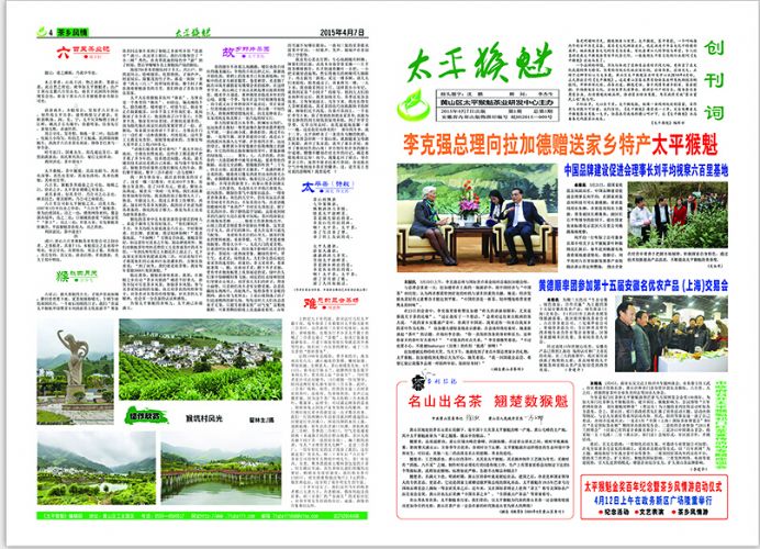 讓《太平猴魁》沐浴著春光雨露茁壯成長.jpg 讓《太平猴魁》沐浴著春光雨露茁壯成長.jpg