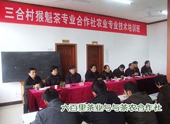 合作社.jpg 合作社.jpg