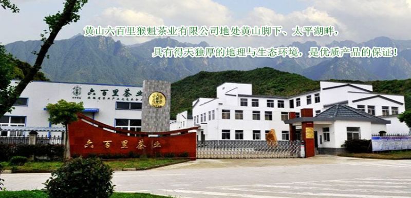 六百里太平猴魁發(fā)展史.jpg 六百里太平猴魁發(fā)展史.jpg