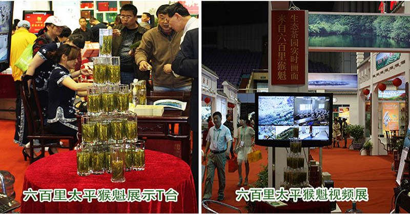 上海推介六百里太平猴魁茶葉品牌.jpg 上海推介六百里太平猴魁茶葉品牌.jpg