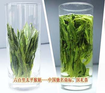 太平猴魁.jpg 太平猴魁.jpg