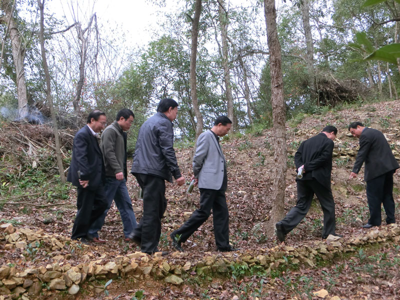 張開南視察桃源基地.jpg 張開南視察桃源基地.jpg